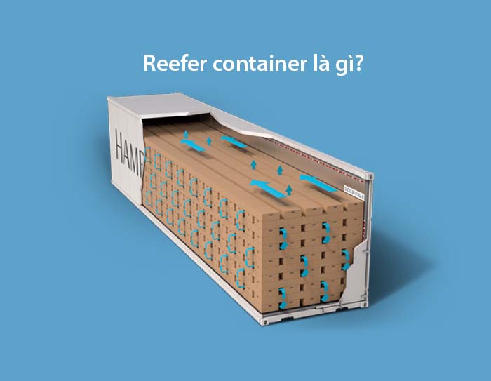 Reefer container là gì? - Ha Le Exim Training Center